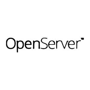 OpenServer 恢复