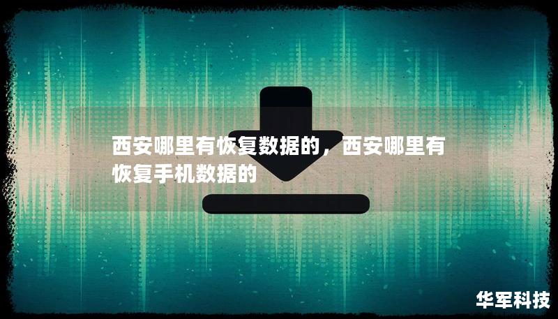 西安哪里有恢复数据的，西安哪里有恢复手机数据的