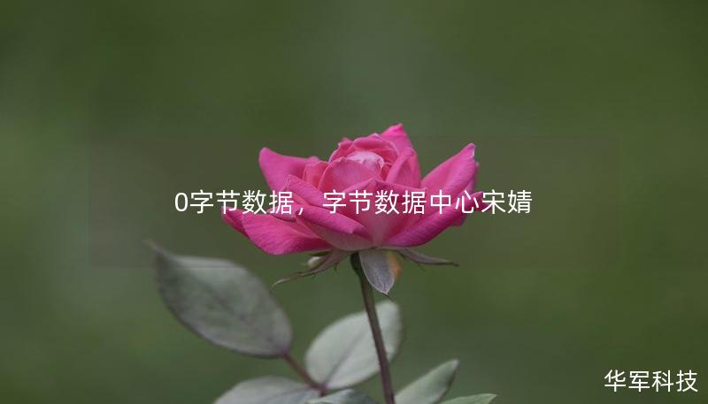 0字节数据，字节数据中心宋婧