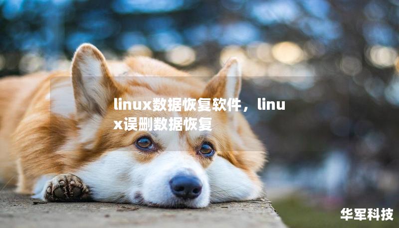 linux数据恢复软件，linux误删数据恢复