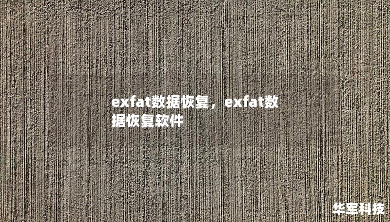 exfat数据恢复，exfat数据恢复软件