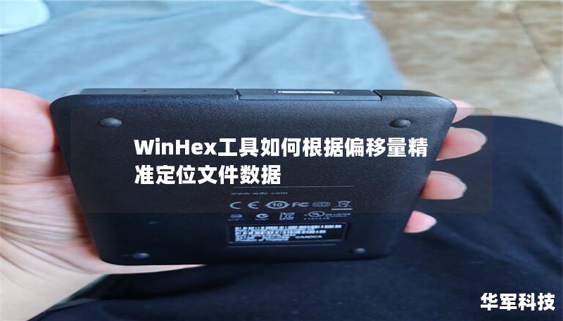 WinHex工具如何根据偏移量精准定位文件数据