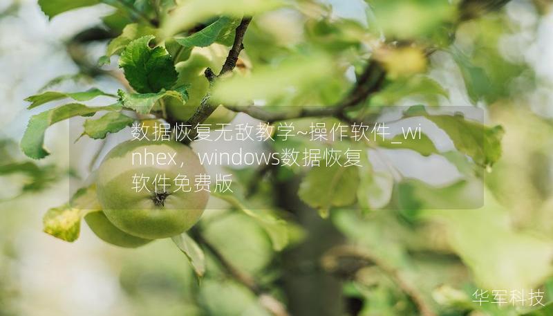 数据恢复无敌教学~操作软件_winhex，windows数据恢复软件免费版