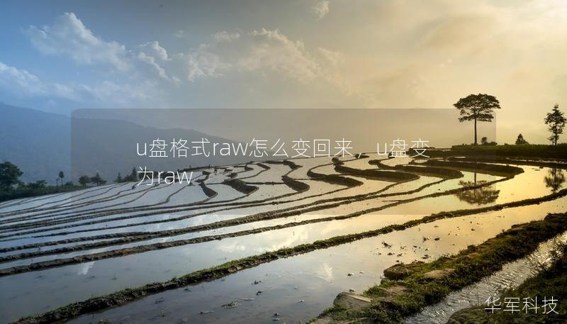 u盘格式raw怎么变回来，u盘变为raw