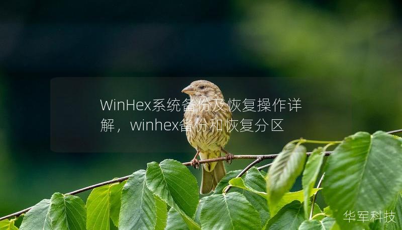 WinHex系统备份及恢复操作详解，winhex备份和恢复分区