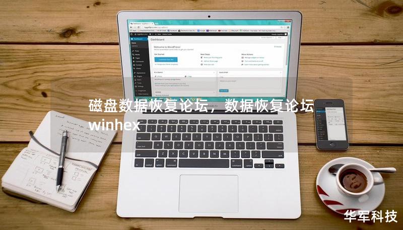磁盘数据恢复论坛，数据恢复论坛 winhex