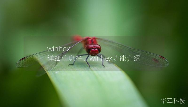 winhex 详细信息栏，winhex功能介绍