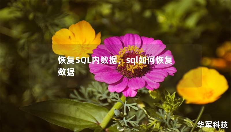 恢复SQL内数据，sql如何恢复数据