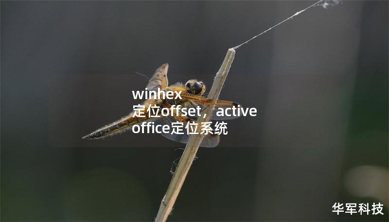 winhex 定位offset，active office定位系统