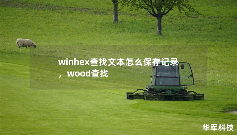 winhex查找文本怎么保存记录，wood查找