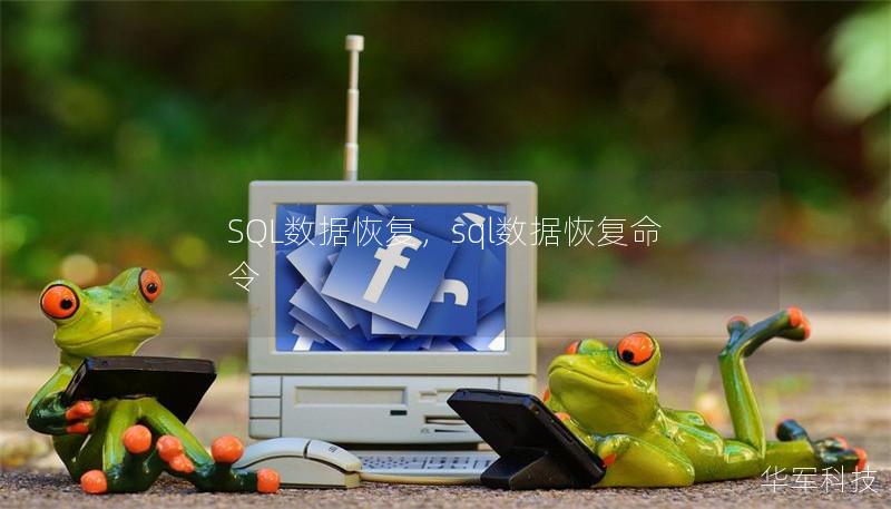 SQL数据恢复，sql数据恢复命令