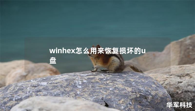 winhex怎么用来恢复损坏的u盘