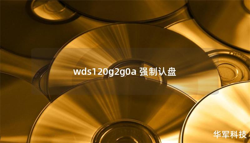 wds120g2g0a 强制认盘