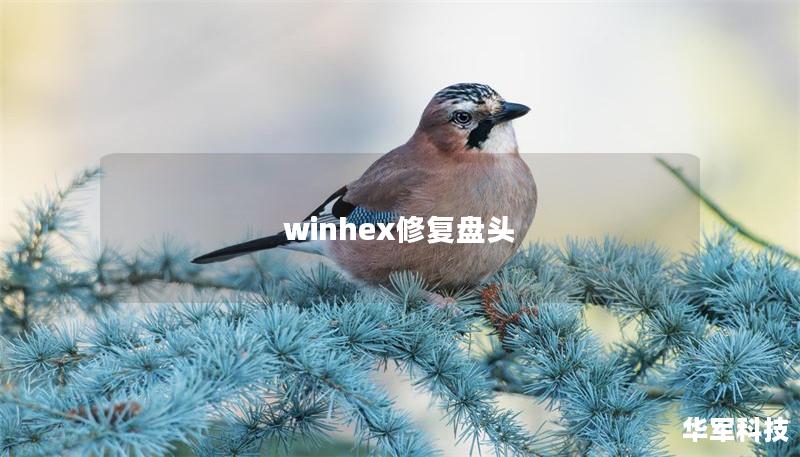 winhex修复盘头