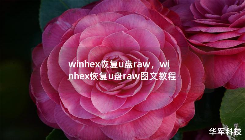 winhex恢复u盘raw，winhex恢复u盘raw图文教程