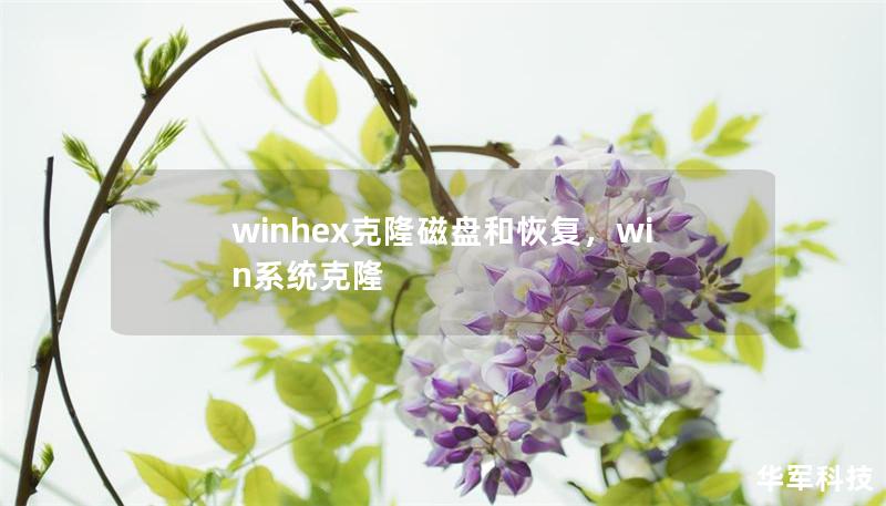 winhex克隆磁盘和恢复，win系统克隆