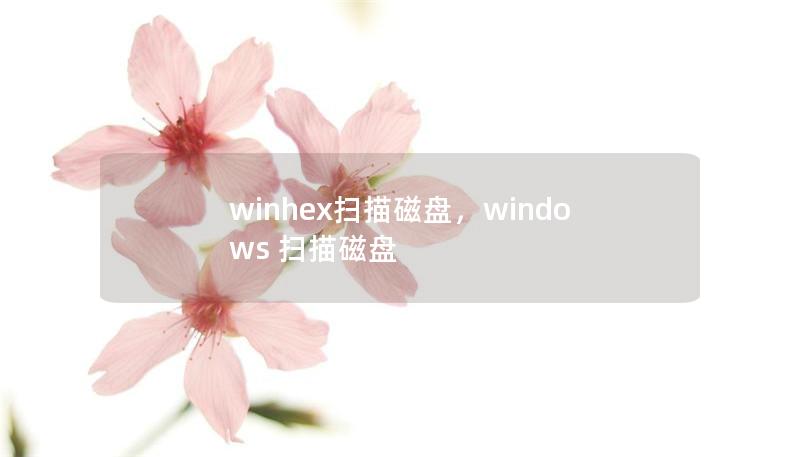 winhex扫描磁盘，windows 扫描磁盘