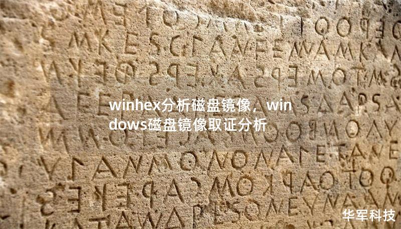 winhex分析磁盘镜像，windows磁盘镜像取证分析