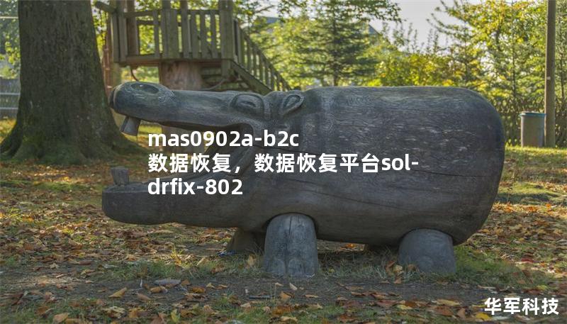 mas0902a-b2c 数据恢复，数据恢复平台sol-drfix-802