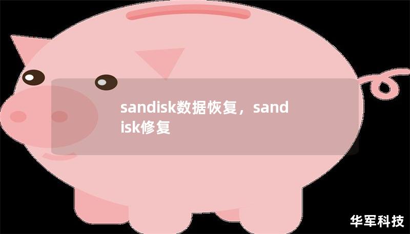 sandisk数据恢复，sandisk修复